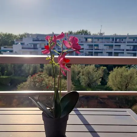 Cozy With A Sunny Balcony, Close To The La Grande-Motte
